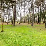 Les Maisons Du Domaine Du Golf De Pinsolle - Maeva - Maison 3 Pièces 6 Personnes - Sélection Mae-6364 *
