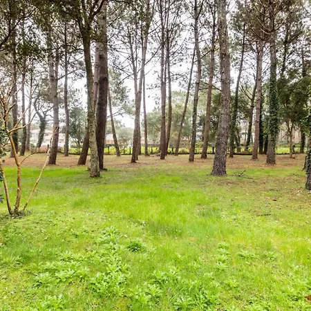Les Maisons Du Domaine Du Golf De Pinsolle - Maeva - Maison 3 Pièces 6 Personnes - Sélection Mae-6364 *