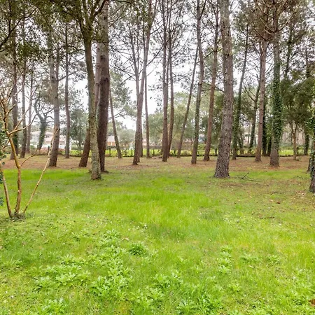 Les Maisons Du Domaine Du Golf De Pinsolle - Maeva - Maison 3 Pièces 6 Personnes - Sélection Mae-6364 * Soustons