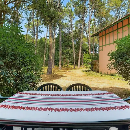 Les Maisons Du Domaine Du Golf De Pinsolle - Maeva - Maison 3 Pièces 6 Personnes - Sélection Mae-6364 Appartement *