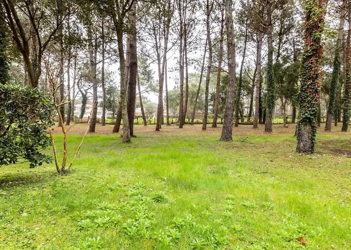 Les Maisons Du Domaine Du Golf De Pinsolle - Maeva - Maison 3 Pieces 6 Personnes - Selection Mae-6364 *